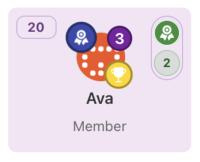 What does the member tile show? – screenshot 3