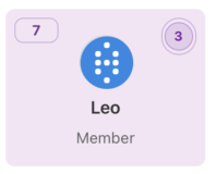What does the member tile show? – screenshot 1